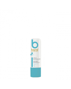 Barral DermaProtect Stick Reparador 4.8g