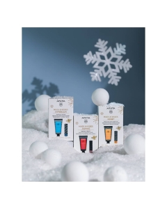 Apivita Hugs & Kisses Hypericum Coffret Hand & Lip Repair