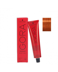 Schwarzkopf Igora Royal Cor 8-77 02/13 Louro Claro Cobre 60ml